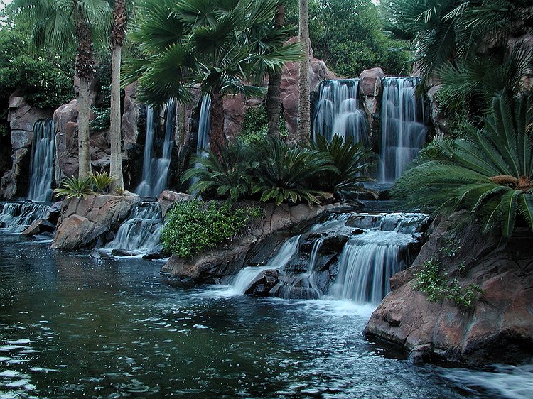 Flamingo Falls