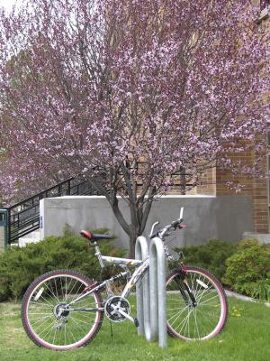 ISU Admin Bldg and Bike DSCN0889.jpg