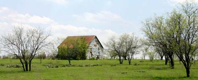 Texas landscape