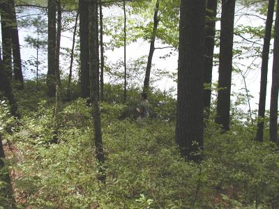 jeff-pond.JPG