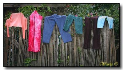 Laundry on Fence
