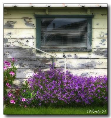 Pipe Window Purple