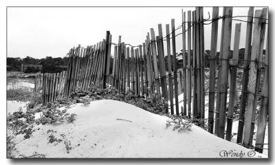 Wood Fence