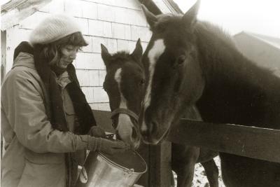 Kressa's horses, Elvis and his Mom Sugar