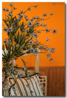 My Tangerine Kitchen ...