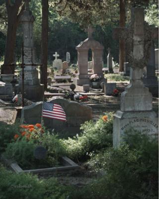 PICT2730crop.jpg