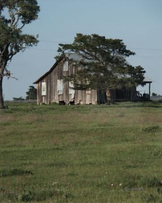 PICT2772.jpg