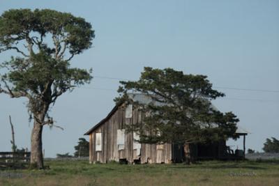 PICT2773.jpg