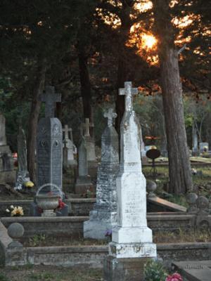 PICT2786.jpg