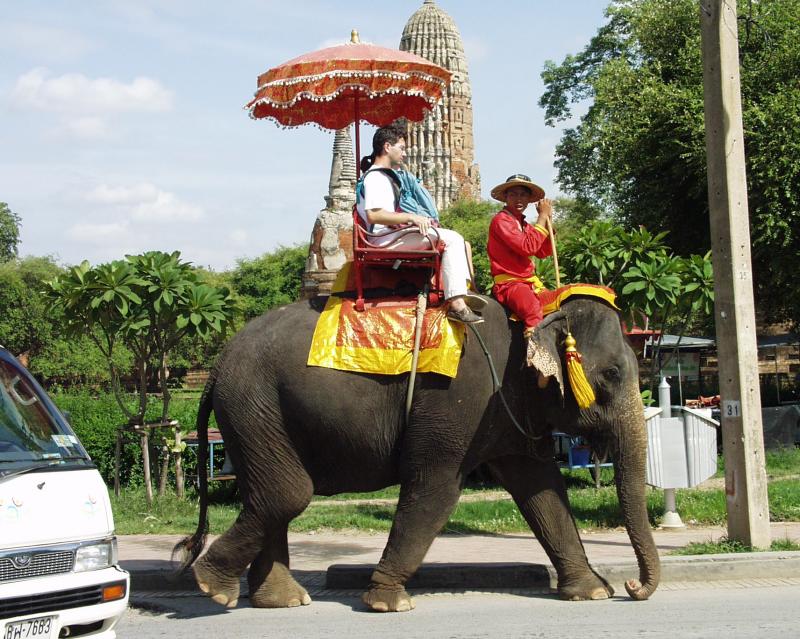 Ayuttaya Elephants