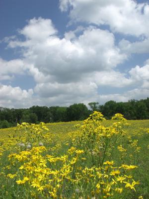 Central Texas  16.jpg