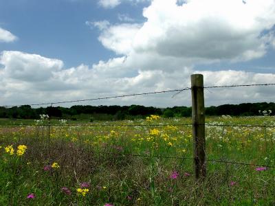 Central Texas  20.jpg