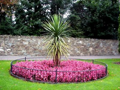 Ireland - Killarney