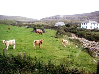 Connemara area - Gallery