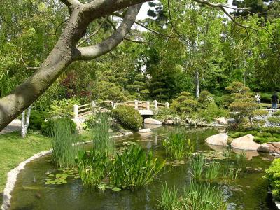 Japanese gardens at CSULB