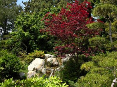 Japanese gardens at CSULB