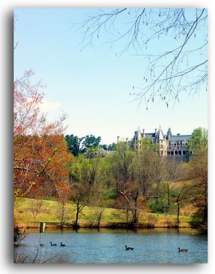 Biltmore Image