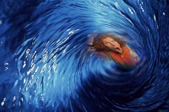 Spinning Carrot.jpg
