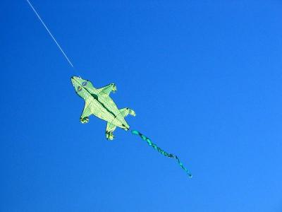 Kite flying, Monterey, CA