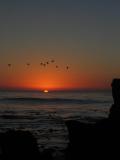 Sunset from 17 mile drive, Monterey, CA, 7:29 p.m.