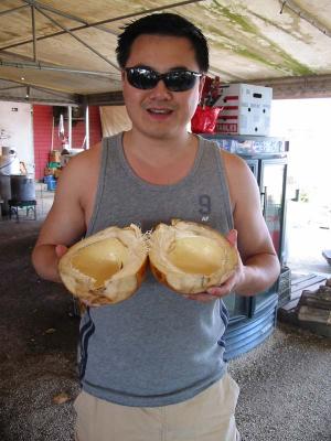 Coconut