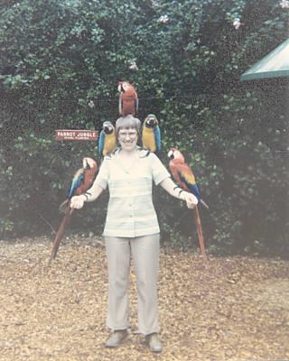 Parrot Jungle Florida