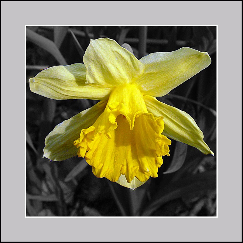 DSCF2134.jpg