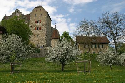 Schloss Wildegg