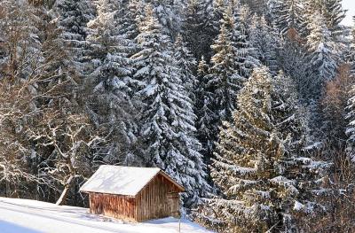 lonely hut (Schurtannenweid, Menzingen)