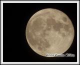 whm-moon.jpg