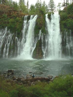 Burney Falls Meditation