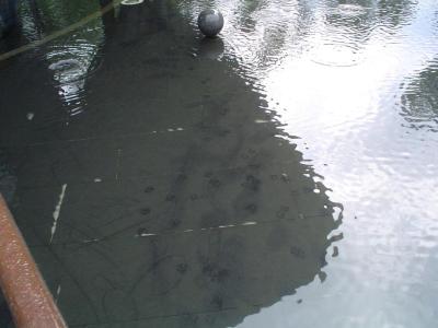 Footprints in the pond at 2-28 Peace Park