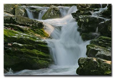 CRW_9511