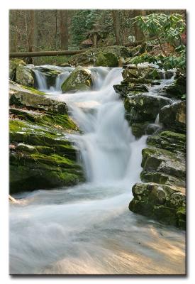 CRW_9517