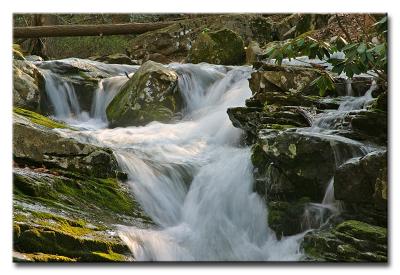 CRW_9524