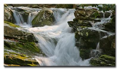 CRW_9524