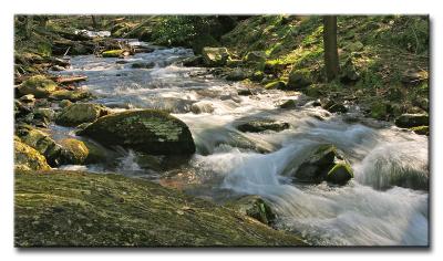 CRW_9567