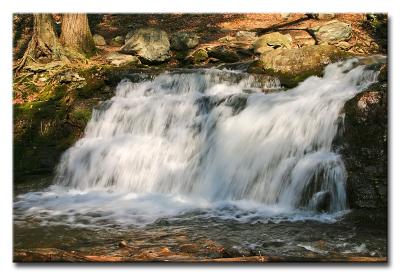 CRW_9589