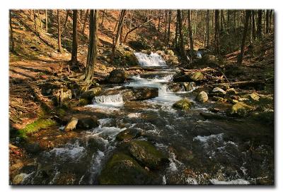 CRW_9604