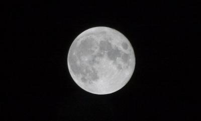 CRW_6379.jpg
