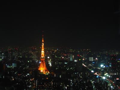 View from Roppongi Hills building complex