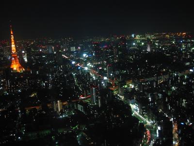 Another view from Roppongi Hills building