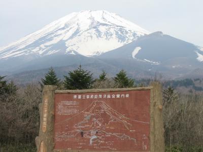 Mt Fuji Info