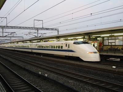 We take the bullet train back to Tokyo