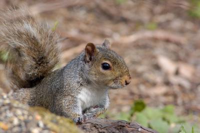 DSC_6703.jpg