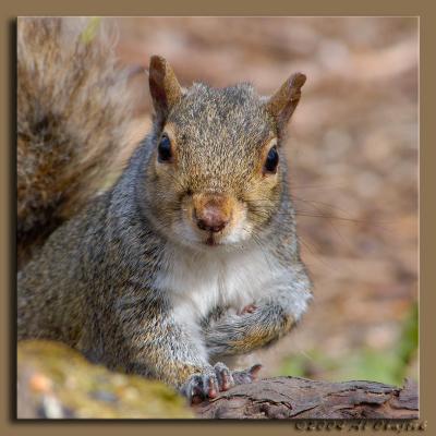 DSC_6706.jpg