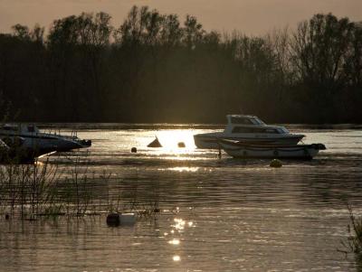 Evening on the Sava River