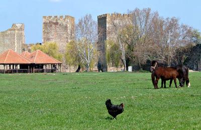 Smederevo Fortress