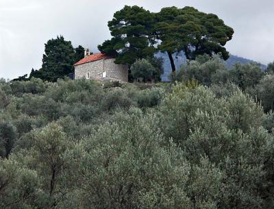 Church in the olive groves near Bar