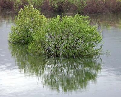 Lake Skadar in flood